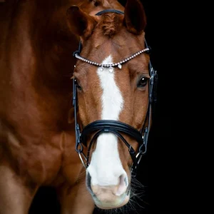 HG AW26 Fullerton pandebånd