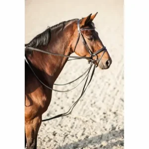 HG Glidetøjle webbing, sort – Onesize
