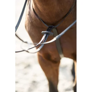 HG Martingal sort, pony