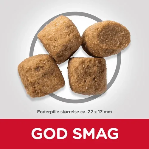 Hills Oral care tørfoder med kylling til voksne hunde med behov for ekstra mundpleje. - Image 2