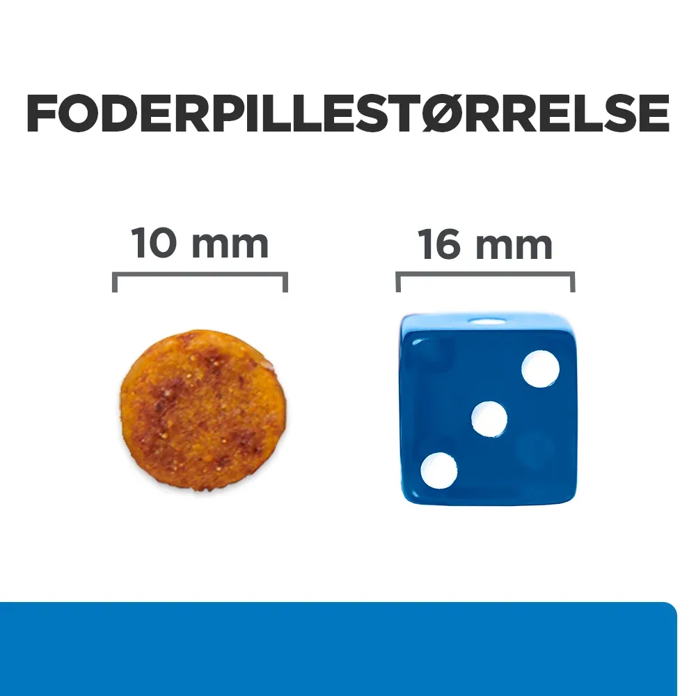 Hill's PRESCRIPTION DIET Derm Complete Puppy Miljø-/Fodersensitivitet ris & æg opskrift tørfoder til hvalpe - Image 2