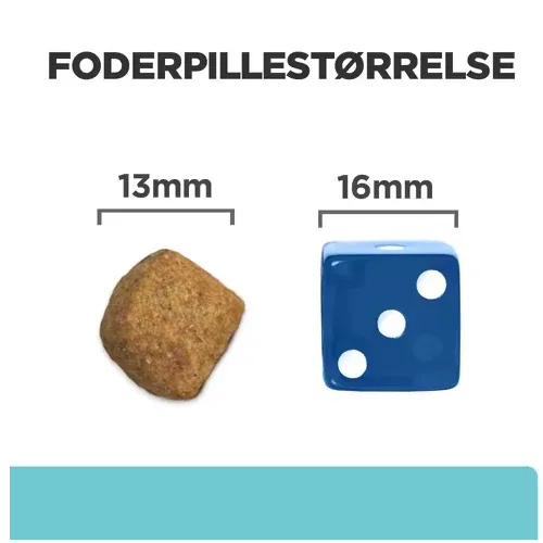 Hill's PRESCRIPTION DIET t/d Dental Care tørfoder til katte med kylling - Image 2