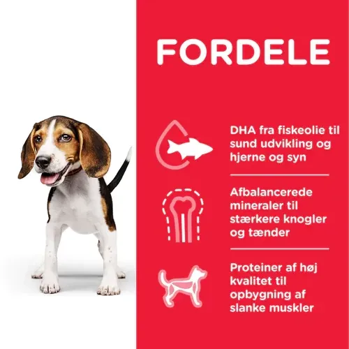 Hill’s SCIENCE PLAN Puppy hvalpefoder med kylling – 370g vådfoder - Image 2