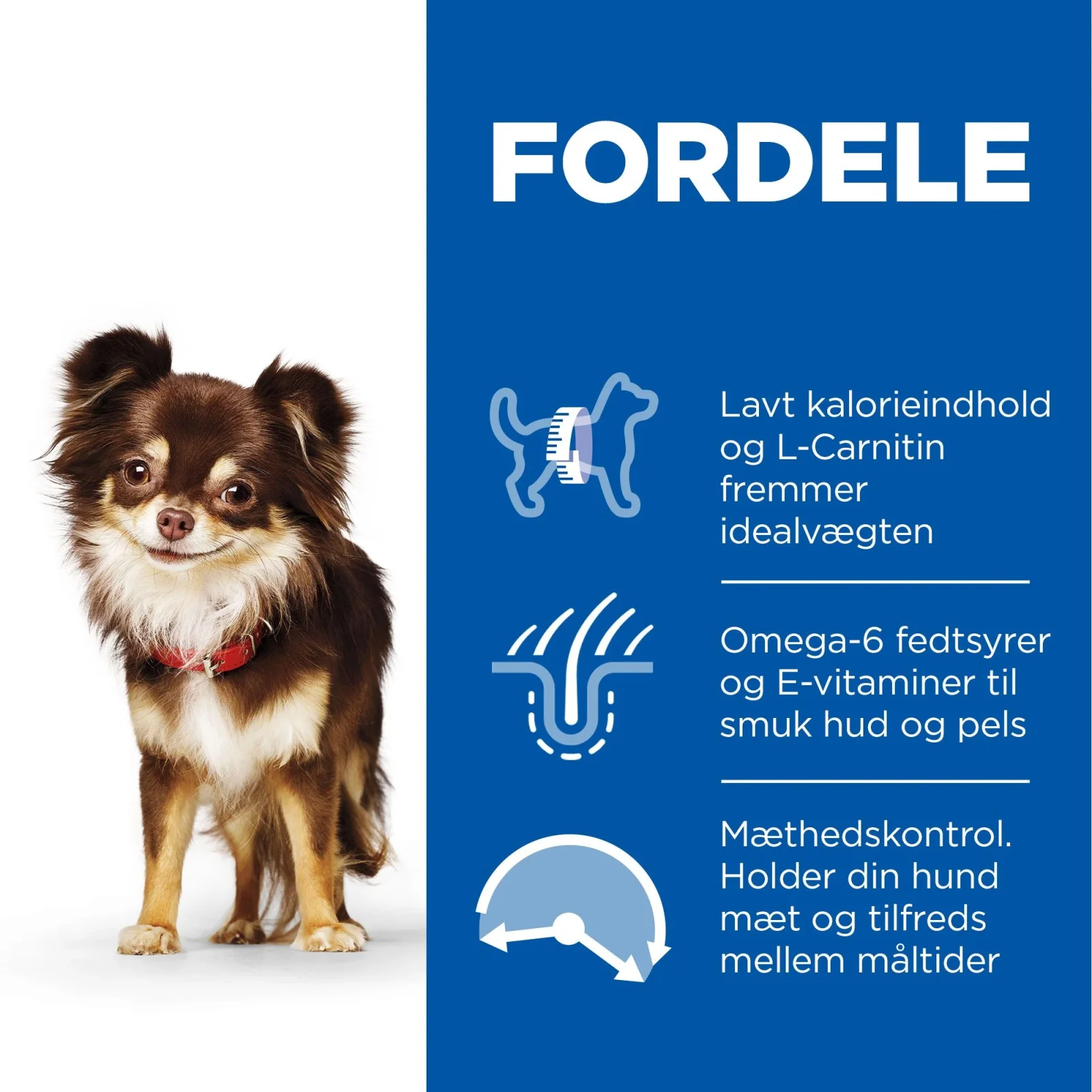 Hills tørfoder LIGHT til voksne små hunde på 1 til 6 år med kylling - Image 2