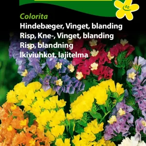 Hindebæger, Vinget, blanding (D) 1774