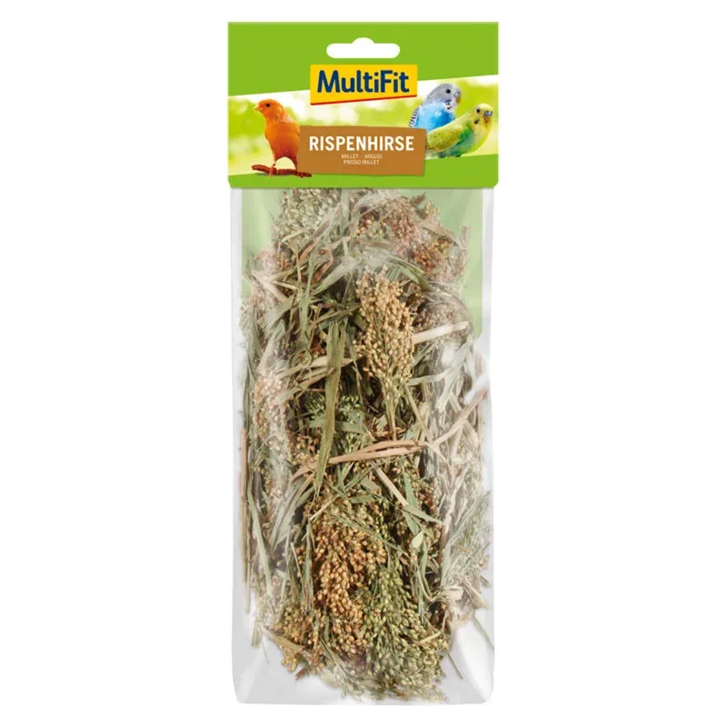 Hirsesnack 100 g