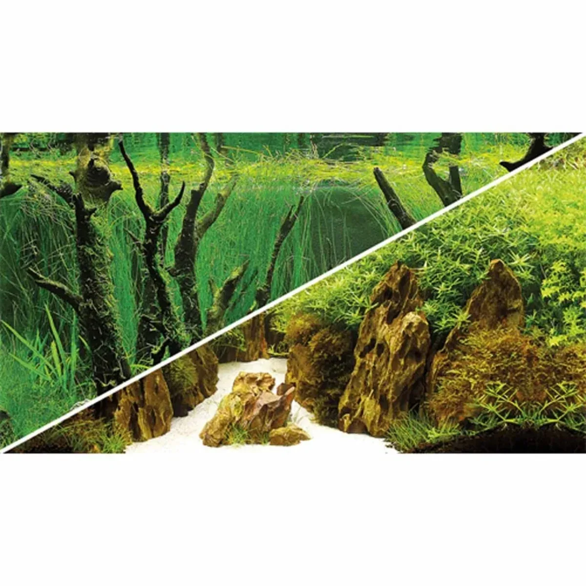 Hobby Dobbelt-sidet akvariebaggrund kløft/skov 30 cm x 1 m