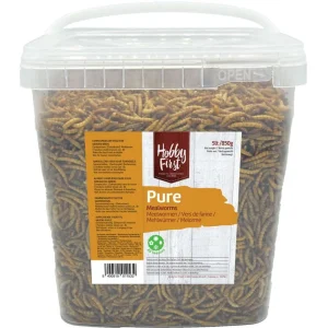 Hobby First Melorme 850 g