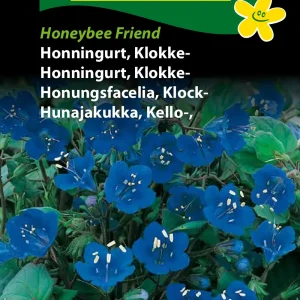 Honningurt, Klokke-, Honeybee Friend (D) 1686
