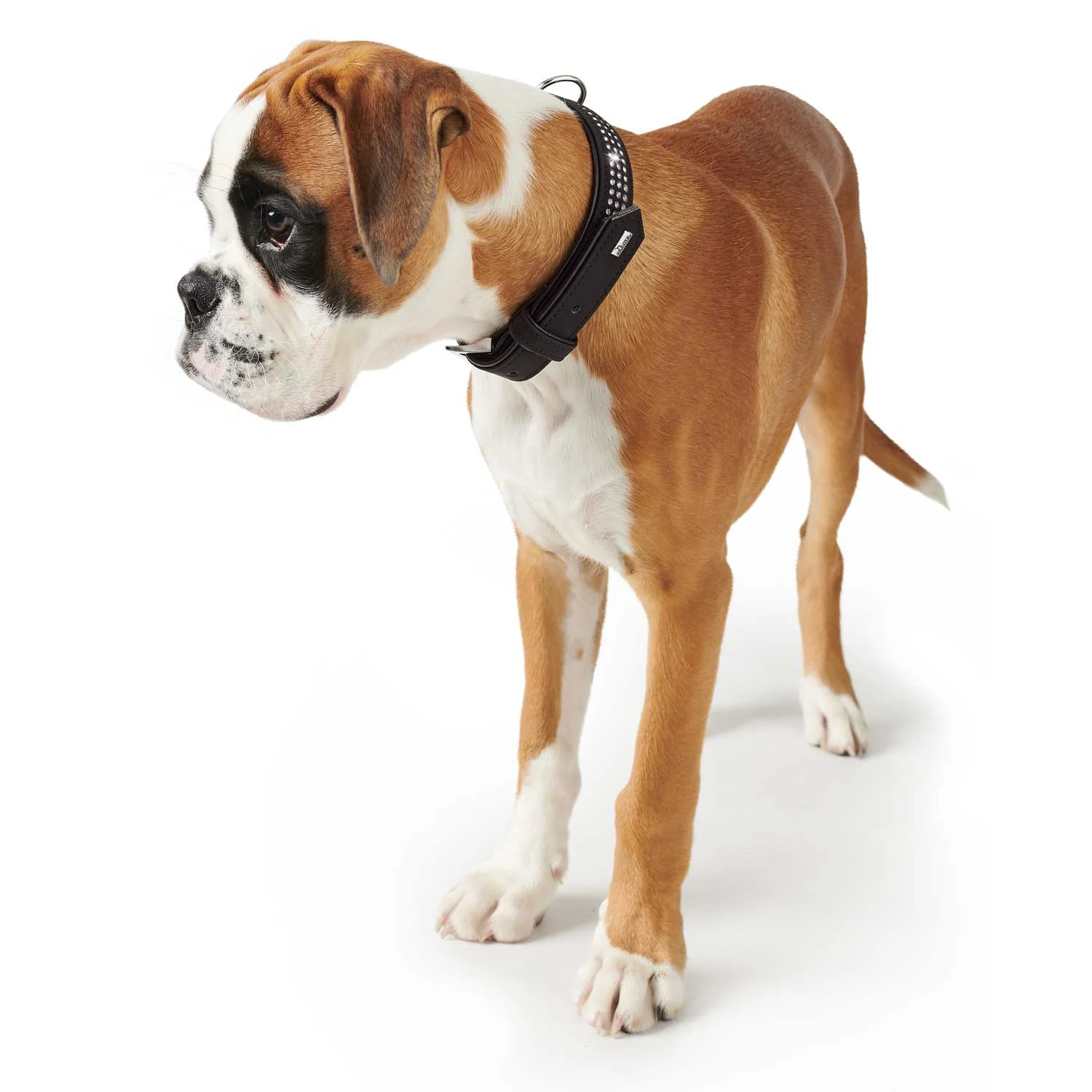 Hundehalsbånd, Hunter, lækkert bling halsbånd, sort - Image 2