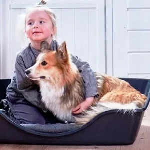 Hundekurv klapbart small grå