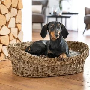 Hundeseng Basket S 60x40x19 cm