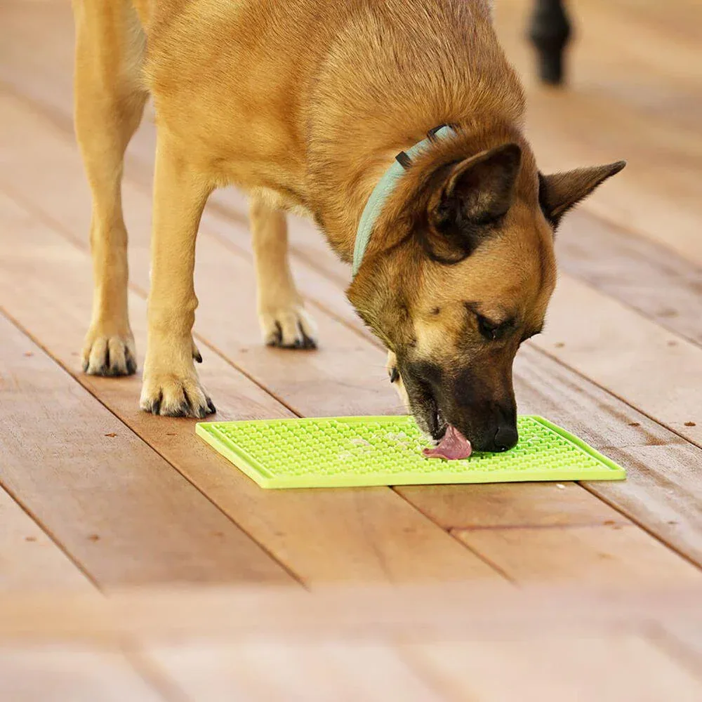 Hundeskål med dupper, Lickimat Buddy, til aktivering til hunde og katte - Image 2