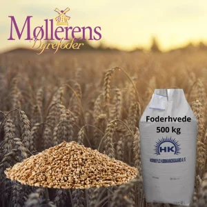 Hvede hel Møllerens 500 kg bigbag LEVERET