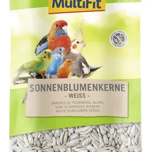 Hvide solsikkefrø 1 kg
