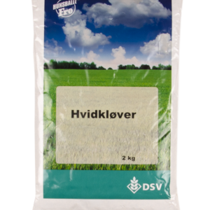 Hvidkløver, mindrebladet – 2 kg.