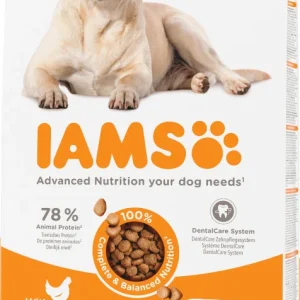 Iams Senior Large med kylling hundefoder