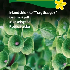 Irlandsklokke Tragtbæger” (C) 1870