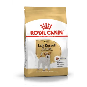 Jack Russel Adult