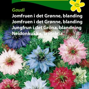Jomfruen i det Grønne, bland., Gaudi (B) 1698