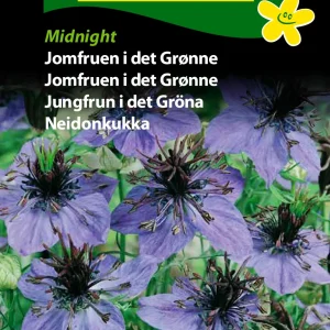 Jomfruen i det Grønne, Midnight (D) 1818