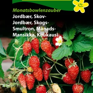 Jordbær, Skov-, Monatsbowlenzauber (D) 1262