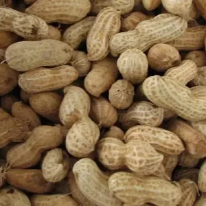 Jordnødder m. skal – 1 kg.