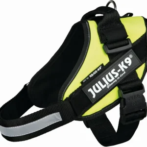 Julius K9 Power-Sele M 58-76cm gul
