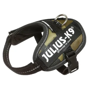 Julius K9 Power-SeleIDC baby 1/xS camouflage