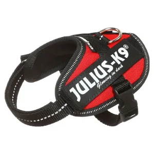 Julius K9 Power-SeleIDC baby 1/xS rød