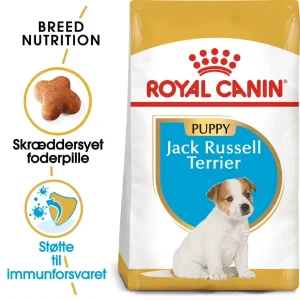 Junior Jack Russel 1,5 kg