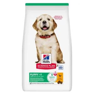 Junior Large