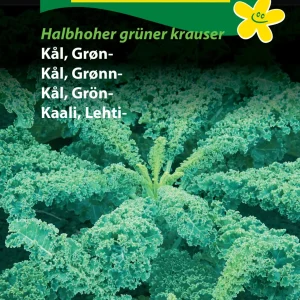 Kål, Grøn-, Halbhoher Grünerkraüser (B) 1266