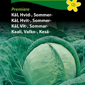 Kål, Hvid-, Copenhagen Market 2 (D) 1268
