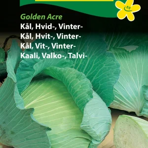 Kål, Hvid-, Vinter-, Golden Acre (A) 1269