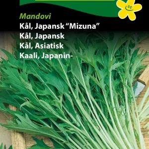 Kål, Japansk Mizuna (D) 1383