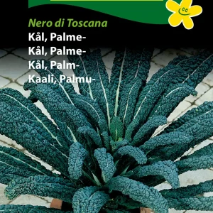 Kål, Palme, Nero di Toscana ( C) 1367