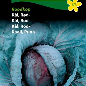 Kål, Rød-, Roodkop (A) 1272