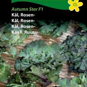 Kål, Rosen-, Autumn Star F1 (D) 1390