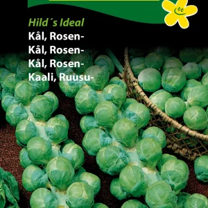 Kål, Rosen-, Groninger (B) 1271