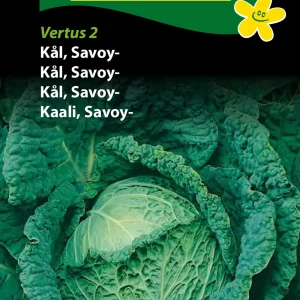 Kål, Savoy-, Vertus 2 (A) 1273