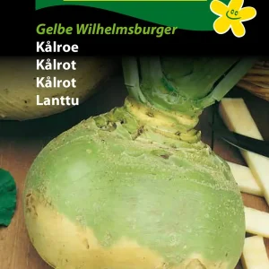 Kålroe, Gelbe Wilhelmsburger (B) 1276