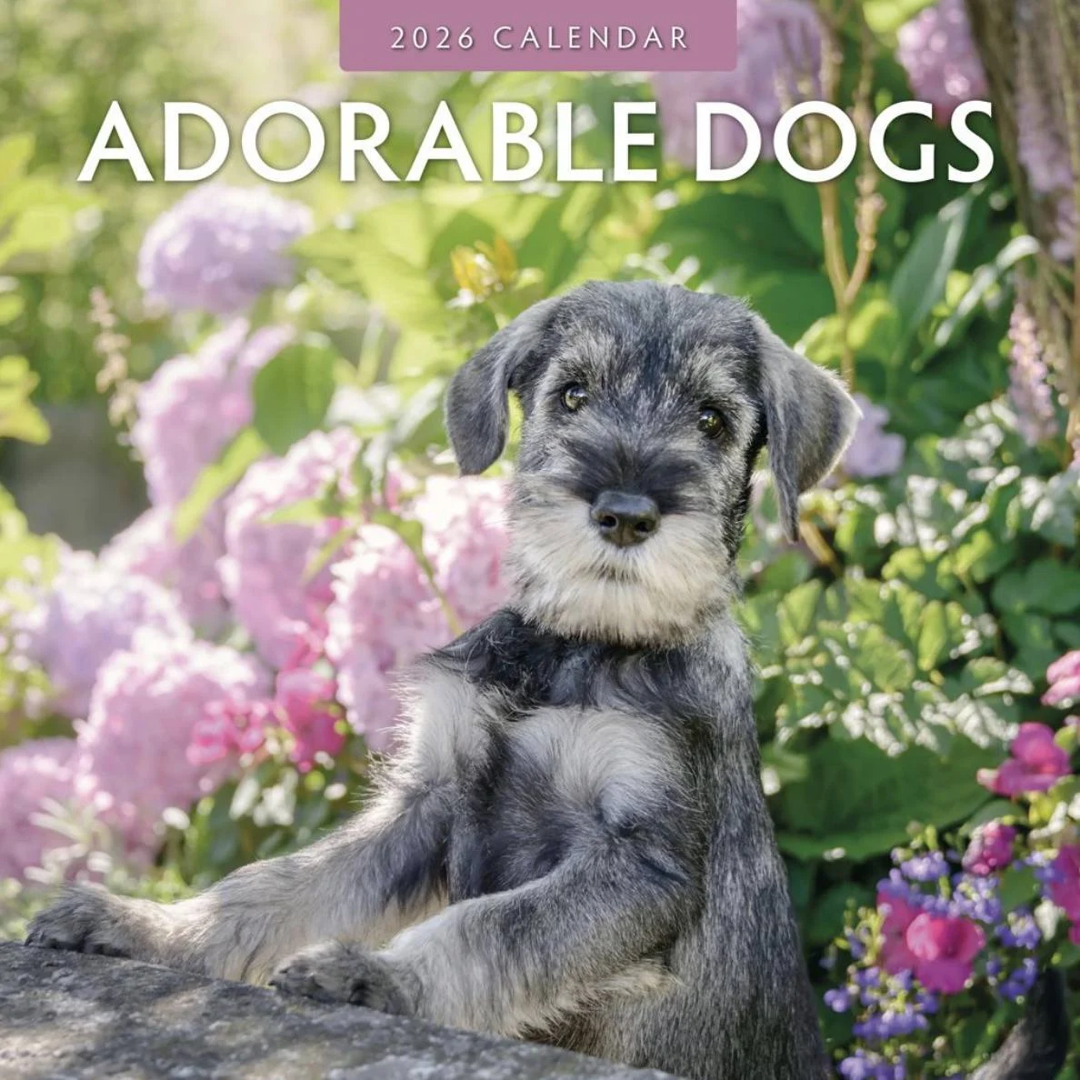 Kalender Adorable Dogs 2027