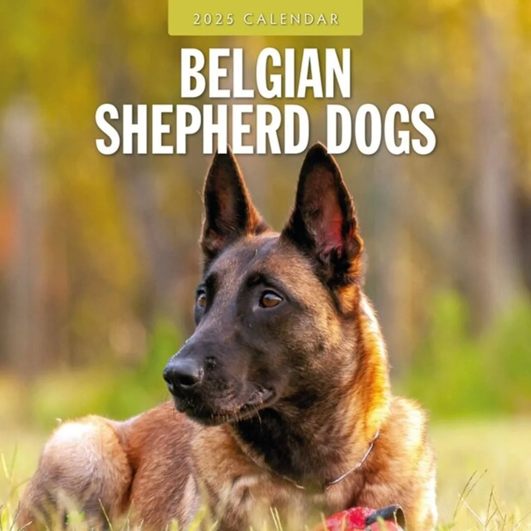 Kalender Belgisk Hyrdehund 2027