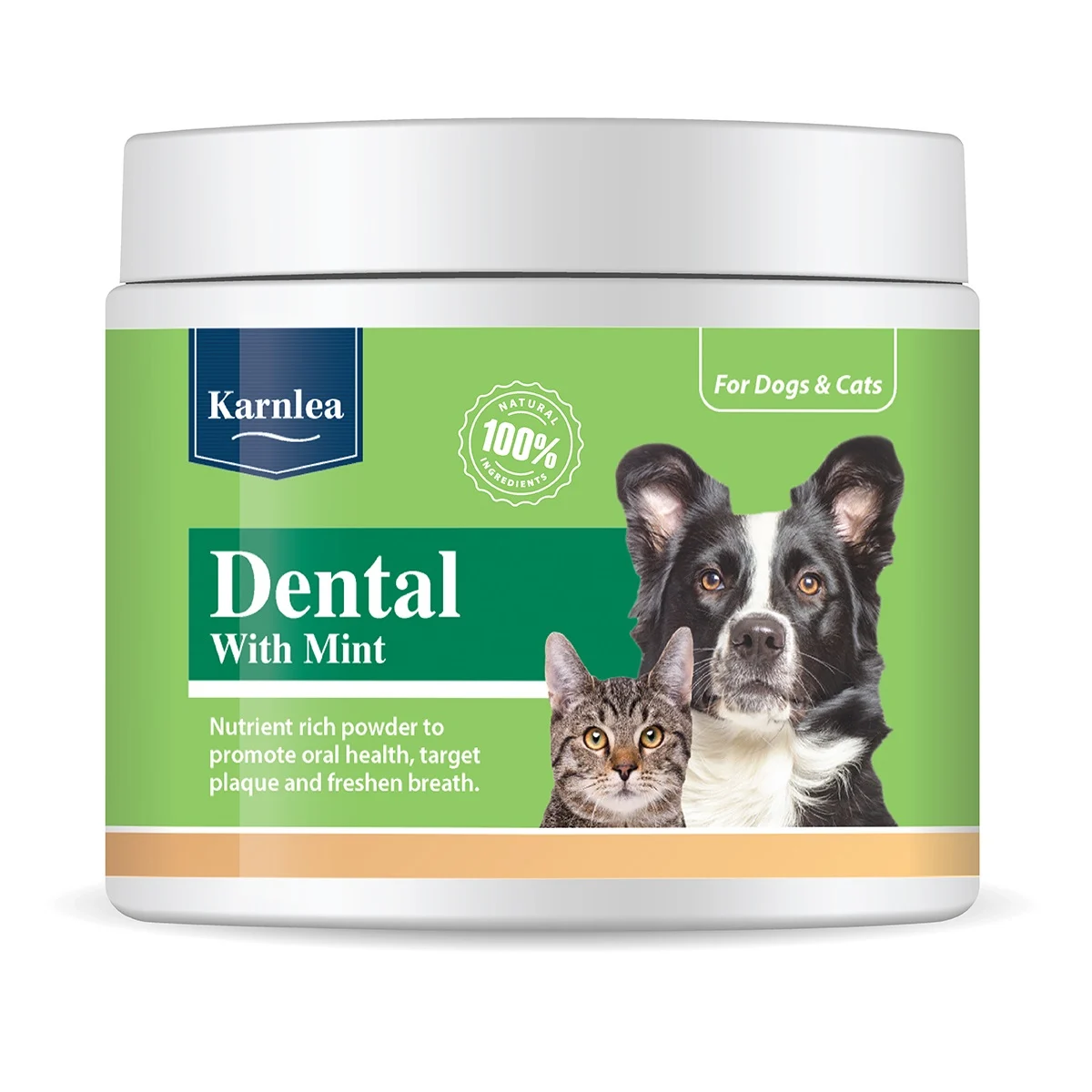 KARNLEA Dental Topper with Mint 200g