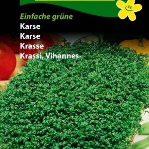 Karse, Einfache grüne – MaxiPack ( C) 1107