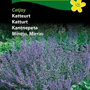 Katteurt, Catjoy (D) 1700