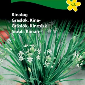 Kinaløg ( C) 1145