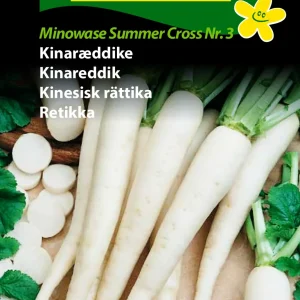 Kinaræddike, Minowase S.C. Nr. 3 (D) 1372