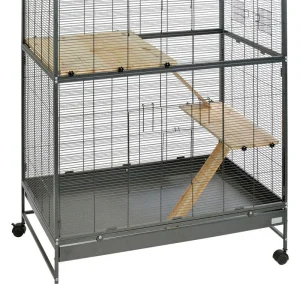 Kit Darwin